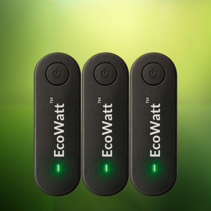 EcoWatt™