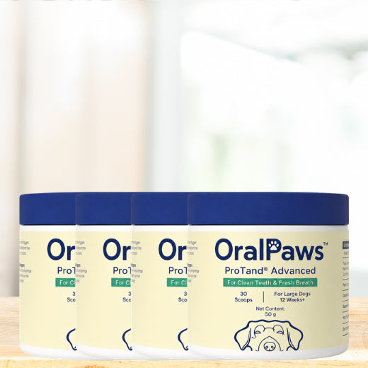 OralPaws™