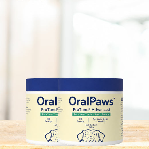 OralPaws™
